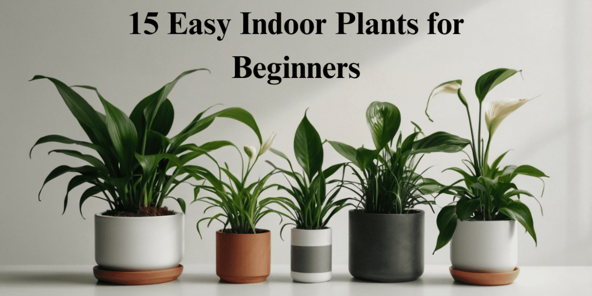 15 Easy Indoor Plants for Beginners