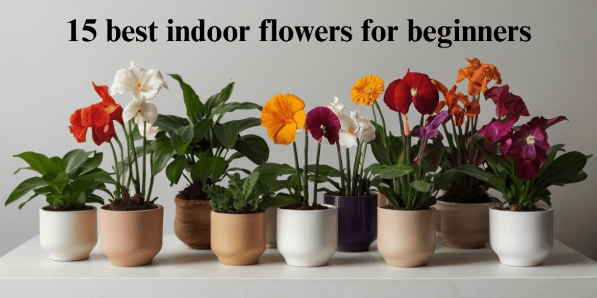 15 best indoor flowers for beginners
